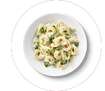 dish1